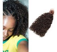 Mini Passion Twist Crochet Hair 14 Pouces Yanky Kinky Fluffy Court Twist Braids Extensions 5 Packs, 15 Strand/Pack