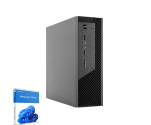 Mini-PC Evo, AMD Ryzen 7 8700G, Radeon Graphics