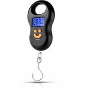 Mini peson portable balance numrique pour bagages crochet lectronique pratique et lger couleurs multiples ABRI DE JARDIN