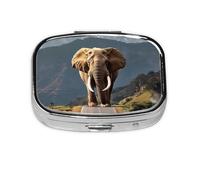 Mini pilulier carré en métal avec 2 compartiments et petite boîte de rangement Motif éléphant