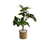 Mini Plant | 1:6 Scale Tiny Greenery Model Ornament | Doll House Miniature Green Leaves Potted Decor - for Christmas DIY Handicrafts Desk Shelf Home Windowsill Furniture Decor