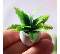 Mini plantes en pot à l'échelle 1:12 - Décoration botanique en résine pour maison de poupée, cuisines et salons, accessoires d'artisanat à feuilles persistantes avec feuillage réaliste