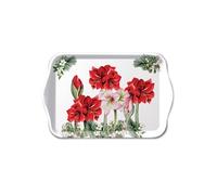 Mini plateau Amaryllis rouge