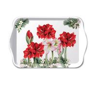 Mini plateau Amaryllis rouge
