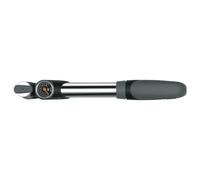 SKS Mini-pompe Injex Control 10 bar avec manomètre Noir/argent 283 mm
