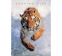 Mini-poster de félins Tigre, Running Wild Version 2