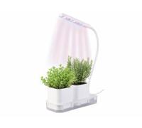 Mini potager avec lampe de croissance et réservoir d'eau Pearl