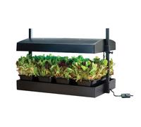 Mini potager cuisine et salon - lampes 2x16W - Noir - Garland