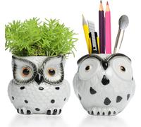 Mini pots de fleurs en céramique en forme de hibou avec drainage,porte-crayon,pot de fleurs,boîte cadeau,kit de jardin,cactus,plantes aériennes,cuisine,fenêtre,jardinage,cadeaux hibou