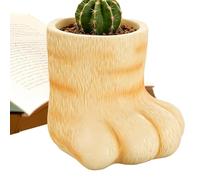 Mini Pots Pour | Mignon Pot Cactus Patte De Chat | Petits Pots À Fleurs,Pour Chambre Salon Balcon Bureau Rebord De Fenêtre Jardin Extérieur Femmes Passionnées Jardinage