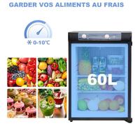 Mini Réfrigérateur à Gaz - SMAD - 60L - Absorption - 12V/220V/Gaz - Noir - RV Campervan