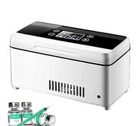 Mini réfrigérateur portable à insuline, glacière à écran LCD, petit réfrigérateur de voiture, mini glacière, réfrigérateur à température constante pour médicaments, batterie tactile (1 pièce