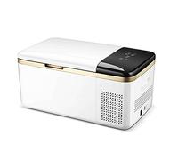 Mini réfrigérateur portable de 20 litres pour voiture, camion, bateau, camping, voyage, usage domestique, 12/24 V CC, 100 V CA (couleur : A, taille : 12 V, 110 V, 220 V)