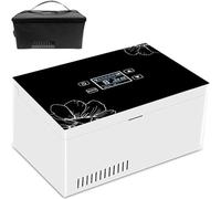 Mini réfrigérateur portable pour médicaments, glacière pour voiture, USB, mini réfrigérateur portable pour médicaments, glacière à insuline, boîte réfrigérée, thermostat 2-8 °C (taille : 2 p