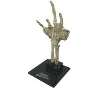 Mini Réplique Universal Monsters Fossilized Creature Hand 18 cm G