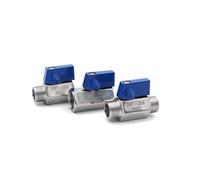 Mini Robinet à Boisseau sphérique sanitaire Femelle vers mâle 1/2" 1/4" 3/4" 3/8" BSP NPT, Acier Inoxydable SS304, poignée Bleue, Brassage Maison(1/4",NPT_Female X Female)