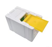 Mini ruche en bois de cèdre, favorise une meilleure production de miel, essentiel pour l'apiculture