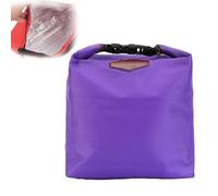 Mini Sac Isotherme, Pochette Isotherme, Sac Isotherme à Repas, Réutilisable Lunch Bag Isothermes, Matière Souple, Pliable, Pour Le Travail Bureau L'école Le Pique-Nique Les Voyages Picnic (C)