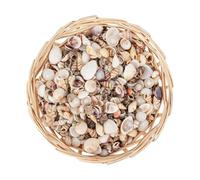 Mini Seashells for DIY Crafts, Mixed Tiny Shells for Art Projects | Craft Shells for Hobbyists, Beginners, Adults, Kids, Art Teachers, Artists, Aquariums, Classrooms, Parties and Home Decor