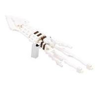 Nanoblock - Nbc-084 - Jeu De Construction - Giant Squid