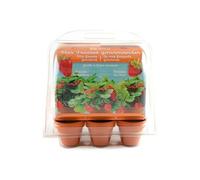 Radis et Capucine – Mini-serre pour fraisiers 6 pots Vert