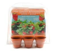 Radis et Capucine – Mini-serre pour fraisiers 6 pots Vert