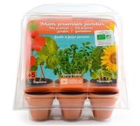 Mini serre 6 pots PET - Premier jardin
