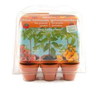 Radis et Capucine - Mini serre 6 pots - Tomates bio à faire pousser