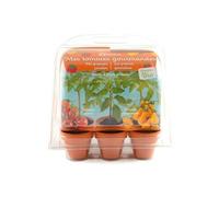 Radis et Capucine - Mini serre 6 pots - Tomates bio à faire pousser