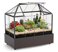 Mini serre en verre pour rebord de fenêtre - 23,3 x 13,6 x 18 cm - Plantes, terrarium, petit jardin en bouteille