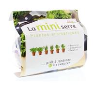 Mini serre herbes aromatiques