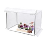 Mini Serre, Protection Contre Les intempéries, 60 x 30 x 30 cm, Mini Serre, Tente Transparente pour , Facile à Transporter, pour Table d'intérieur, Balcon, Jardin, terrasse, Patio, véranda