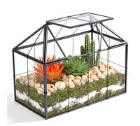 Mini serre rebord de fenêtre en verre pour plantes terrarium petit jardin en bouteille DIY