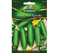 Mini Snackgurke, Picolino F1