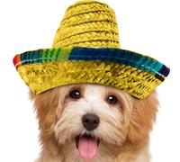 Mini Sombrero - Chapeau de fête Mexicain tissé, Accessoire Bandeau à Large Bord, Costume coloré, Chapeau léger | Costume de célébration d'anniversaire pour et Animaux de Compagnie