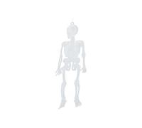 mini squelette qui brille dans le noir 15 cm plastique blanc 10 pièces