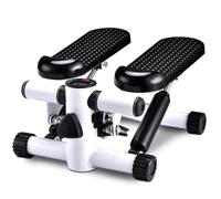 Mini Stepper a Roue Résistance Hydraulic -MAX 120KG Avec 2 extenseurs Equipement d'exercice LCD