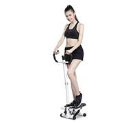Mini-Stepper Swing Stepper, Appareil de Fitness avec accoudoirs de sécurité et molette de réglage Intelligente pour Un entraînement en Douceur.