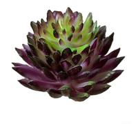 Mini succulente artificielle pour jardin inspiré du bonsaï, décoration de bureau, terrarium, centre de table, utilisation intérieure et extérieure (violet + vert)
