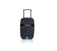 Mini système - BLAUPUNKT - PA12 - 650 W - 2x RCA (entrée ligne) - MP3/WMA