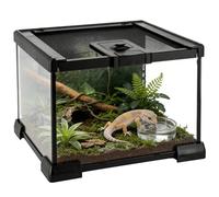 Mini terrarium en verre pour reptiles 20 x 20 x 14 cm, aquarium de vivarium de forêt tropicale, cage empilable pour tortues, geckos, grenouilles, bernard-ermite, aucune installation nécessaire
