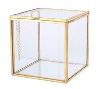 Mini Terrarium Verre Géométrique 3 Formes Différentes pour Succulentes Plantes Aériennes Décoration Intérieure Bureau Maison Suitable for Mariages Fêtes Bureaux Chambres Cuisines