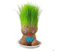 Mini tête de bonsaï en forme de poupée d'herbe, sac de culture, pots, décoration de bureau et de jardin