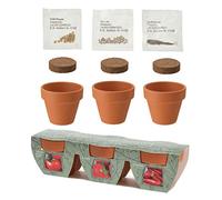 Mini trio de pots en argile avec graines de légumes tomate fraise piment et noix de coco - Cadeau parfait pour les amis et la famille