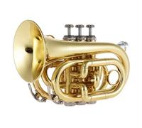 Mini trompette de poche en si bémol - Ensemble complet d'instruments en laiton avec embouchure, gants, chiffon de nettoyage et étui de transport - Portable et compact