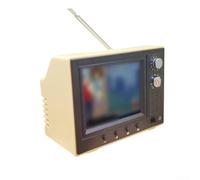 Mini TV rétro de dessin animé, lecteur vidéo miniature rechargeable avec 8 Go de stockage, prend en charge les écouteurs et la lecture USB pour décoration de bureau, scènes de maison de poupée
