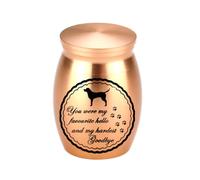 Mini Urne Aluminium Portable Souvenir Animaux Stockage Cendres Partielles | Récipient Mémoire Gravité Chien Rose Pissenlit Enterrement Dispersion Cendres Poils Terre Herbe Pas Complet