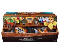 Monster Jam Mini véhicule assorti