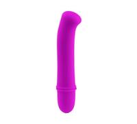 Mini Vibromasseur Point G 20 Modes Silicone Souple Compact Discret Plaisir