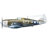 Miniart 1:48 - P-47D-15 RA Thunderbolt Basisset